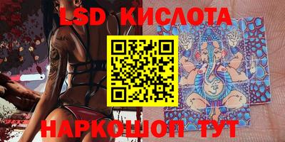 PSILOCYBIN Пугачёв