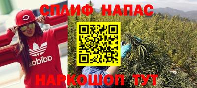 гашик Пыть-Ях