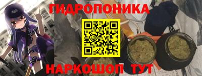 гашик Пыть-Ях