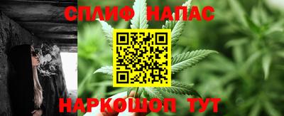 гашик Пыть-Ях