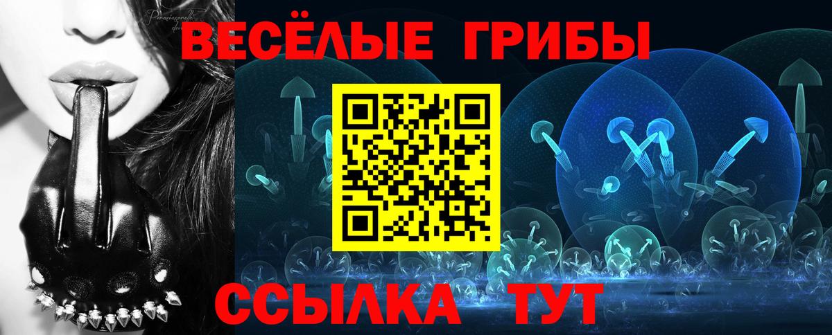 Можга  Псилоцибиновые грибы GOLDEN TEACHER  Вход с VPN 